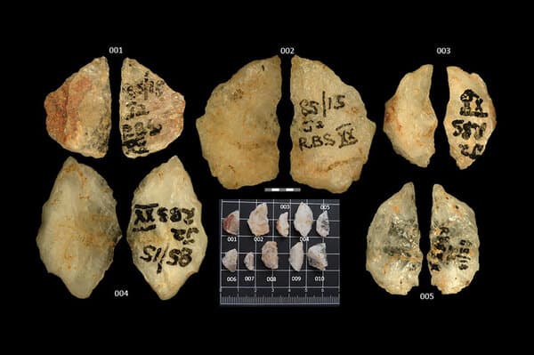 Close-up of ancient stone arrowheads excavated from Sibudu Cave in South Africa.