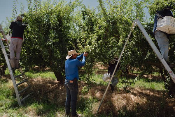 Donald Trump speaking at a podium about immigration policy